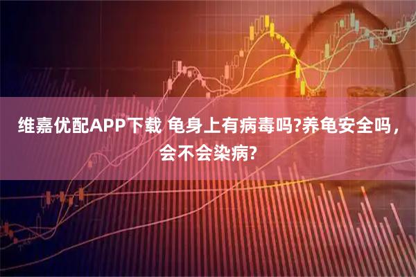维嘉优配APP下载 龟身上有病毒吗?养龟安全吗，会不会染病?