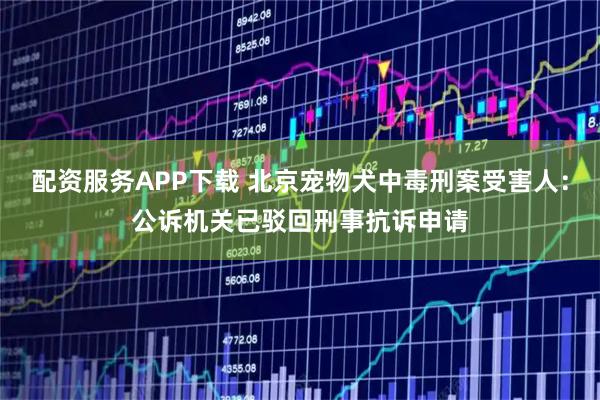 配资服务APP下载 北京宠物犬中毒刑案受害人：公诉机关已驳回刑事抗诉申请