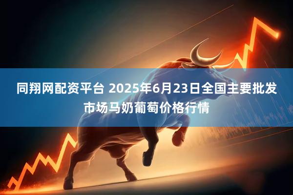 同翔网配资平台 2025年6月23日全国主要批发市场马奶葡萄价格行情
