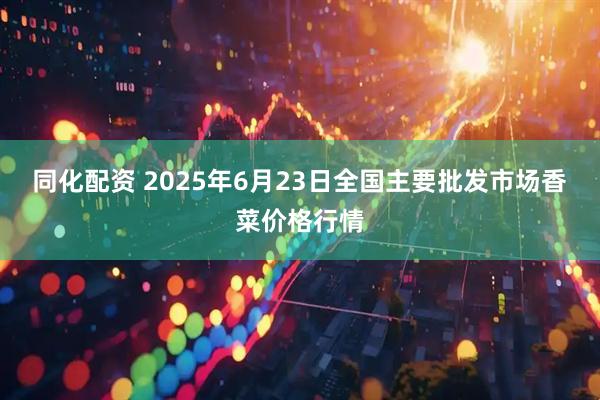 同化配资 2025年6月23日全国主要批发市场香菜价格行情